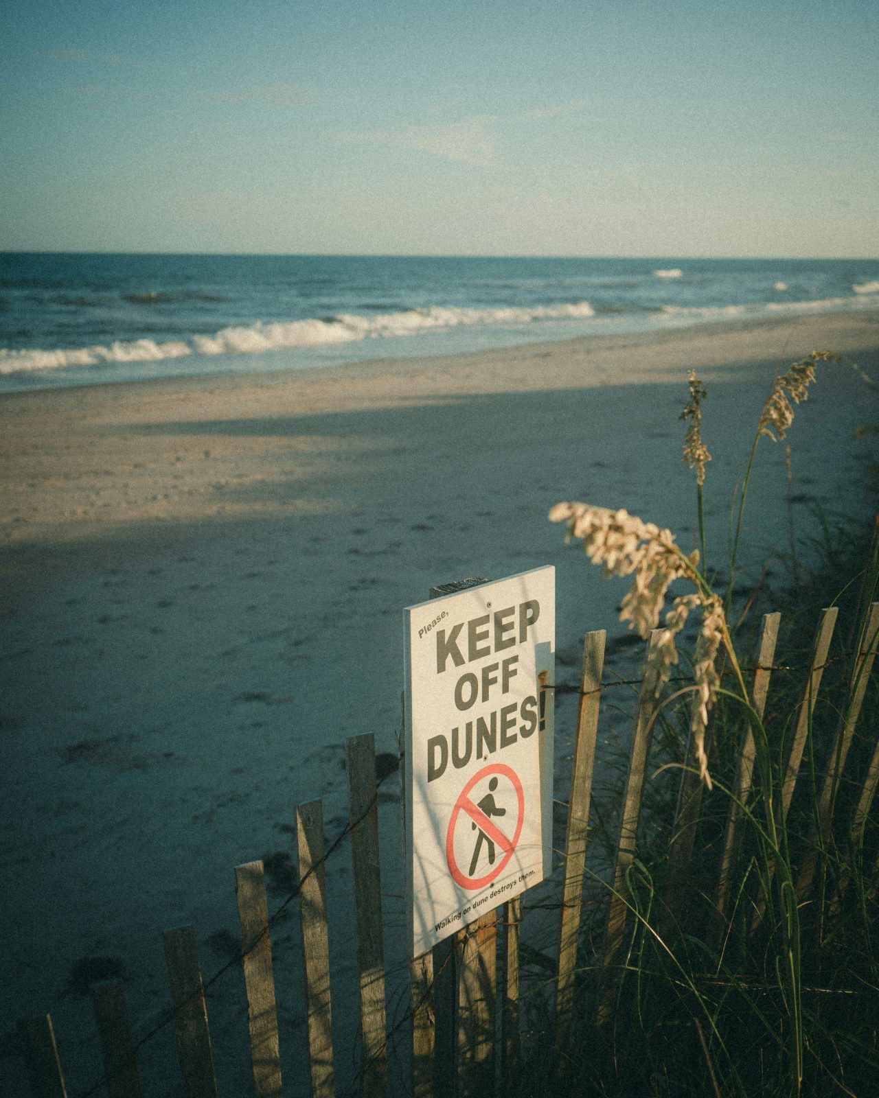 A weathered Keep Off Dunes sign on a fence with sea oats, the Atlantic beyond at dusk